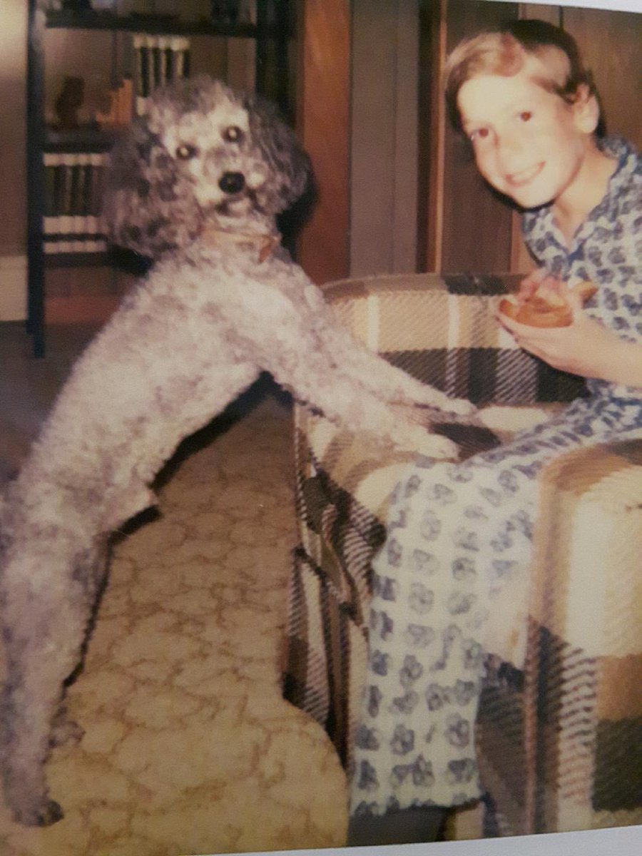 My 1st dog. Snoppy