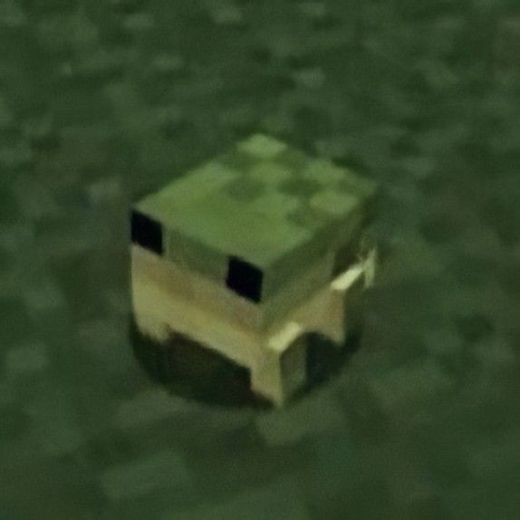 I miss these little guys