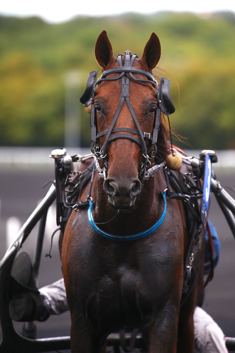 Ecurie Griff tweet media