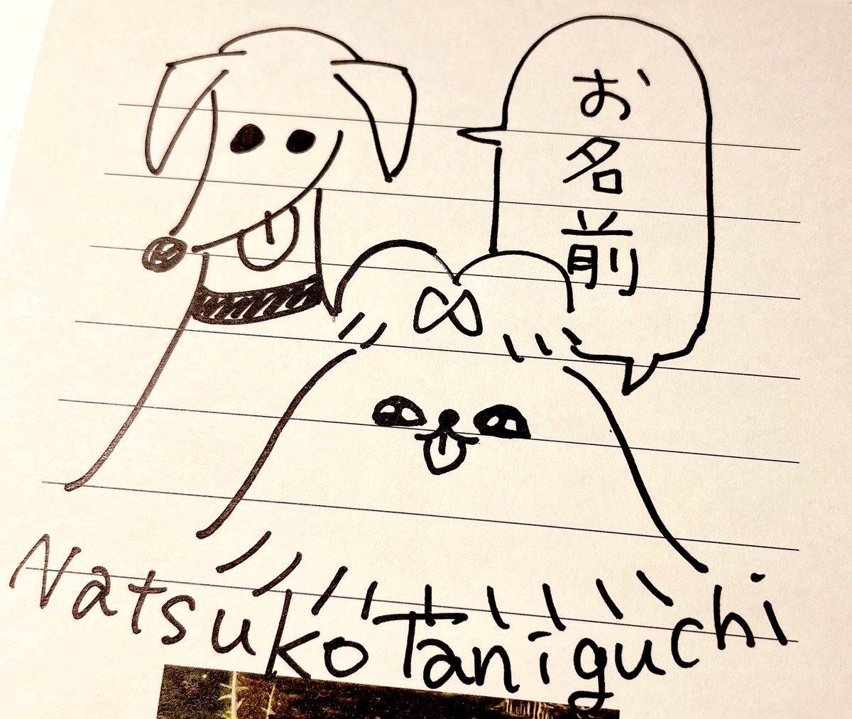仿¥ã¯éå±±ããã¯ã»ã³ã¿ãŒããã§ã®ãµã€ã³äŒã§ãã
芪åã®ç¬ãæããŸãð©ð
ãºãåã®ãã£ã©ã¯ã¿ãŒãæãããšãã§ããã®ã§ãã®å Žåã¯å
ã«èšã£ãŠããã ãããšå¬ããã§ã!