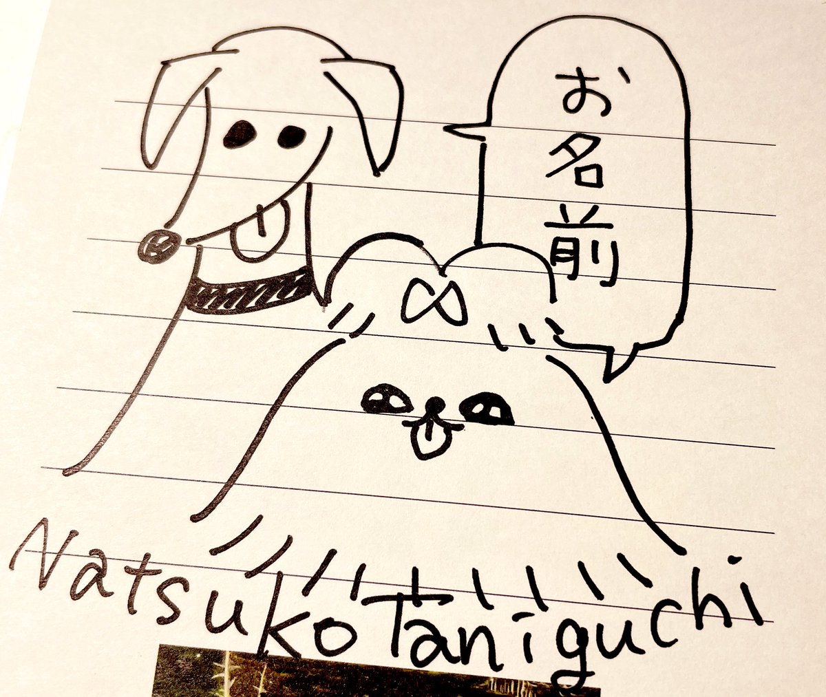 今日は青山ブックセンターさんでのサイン会です。
親友の犬を描きます🐩🐕
ズッ友のキャラクターを描くこともできるのでその場合は先に言っていただけると嬉しいです! 