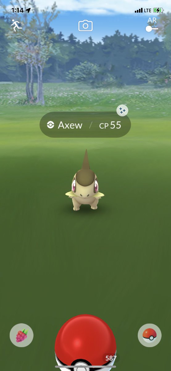 pokedaxi's tweet image. OMG JUST PULLED SHINY AXEW OFF INCENSE!