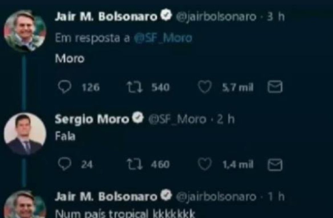 PergReflexiva's tweet image. 