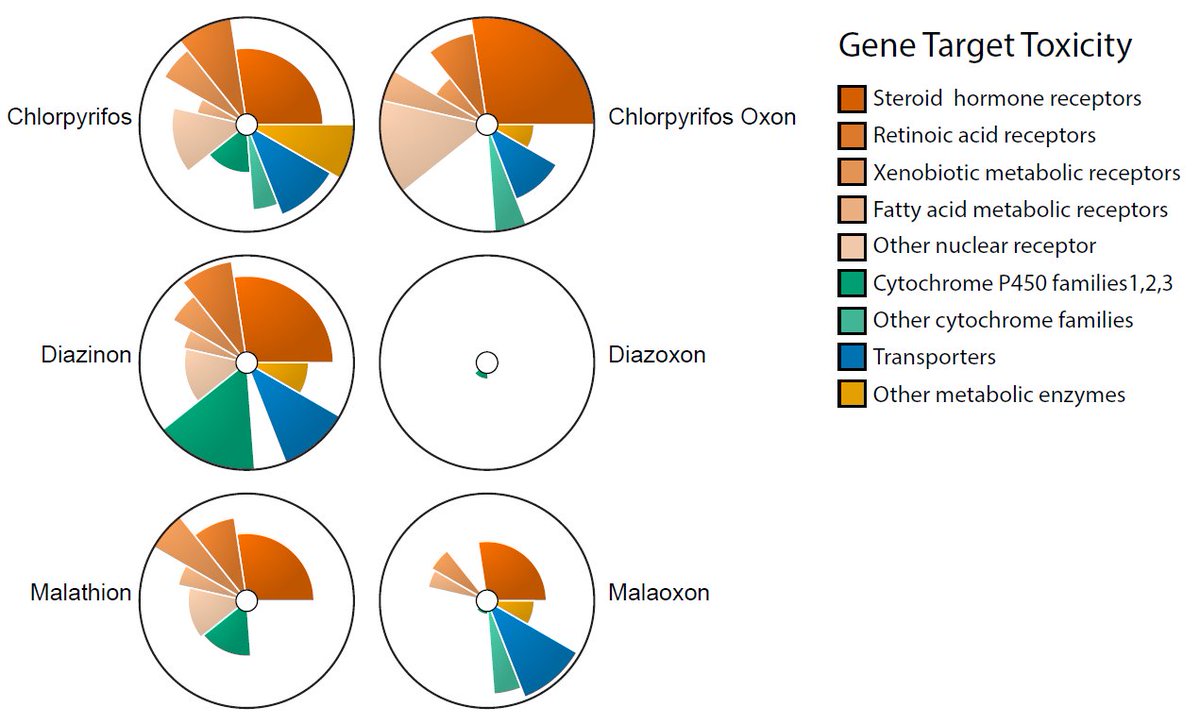 Leung_Lab's tweet photo. Organophosphate pesticides and their oxon metabolites are markedly different in neurotoxicity. Computational tools provide new venues for mechanistic studies. Check out our latest paper with @shreeshrajsammi at @ToxSci! 🧪🖥️➡️https://t.co/OfYNrqxyj5 #BigData #CompTox @ASUResearch https://t.co/4vbV10GS2s