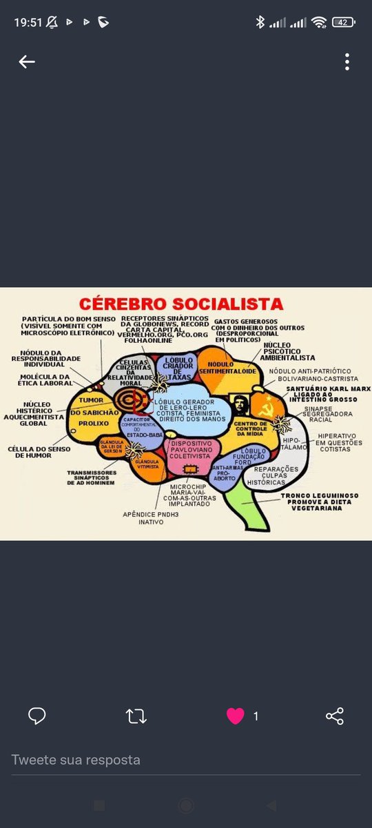 UCamboriu's tweet photo. @gduvivier https://t.co/h3vVx4jdyj