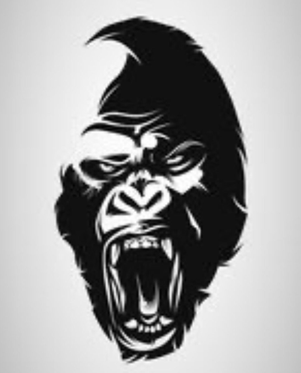 MaCaCoNetWork's tweet photo. Seja um #MaCaCo #developer ! Venha desenvolver a nova geração de #Blockchains e #dApps ! Participe da criação de nosso #whitepaper e participe do #Future #Brasil Recebe em #cryptocurrency https://t.co/Irp1AgjW3L
