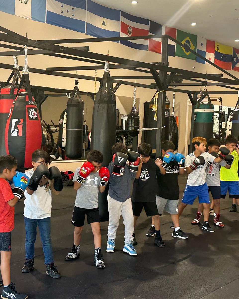 justboxing_org's tweet photo. These kids are AWESOME! Had a blast teaming up with @SweetScienceGym for their Student of the Season showcase. So much heart and talent on display. And we got to hand out some Halloween goodies 🎃🍫
.
.
.
#nogames 
#justboxing https://t.co/xdVpLfBbhZ