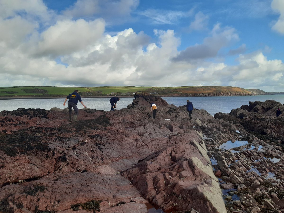 LorraineAnne99's tweet photo. @thembauk Marine Science Camp @FSCDaleFort, what a pleasure! An incredibly rewarding week helping out with all things #marinescience 🌊🦭🦀 from plankton sampling, cetacean spotting to rockyshore ecology. Hopefully the participants had as much fun as me! https://t.co/48pdFZD5CJ