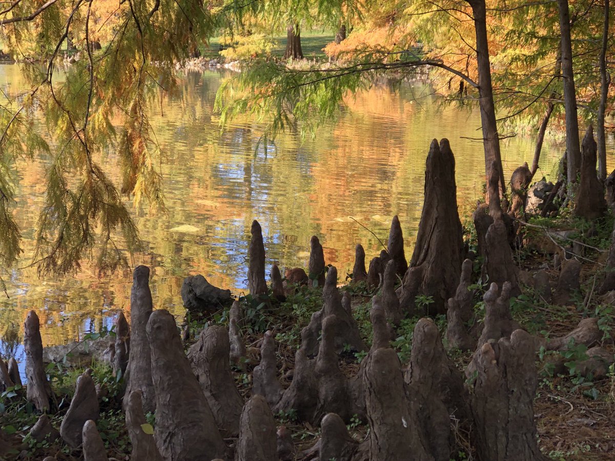 Liz Barack tweet media