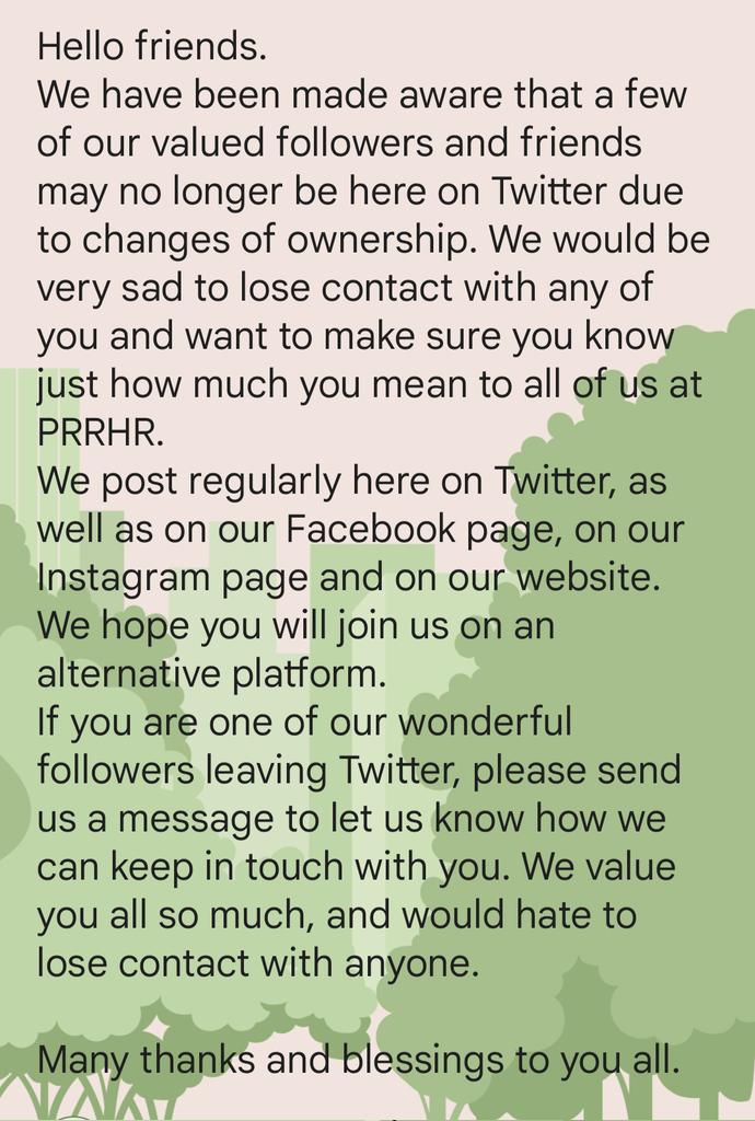 Palomino Ridge Ranch Horse Rescue & Sanctuary tweet media