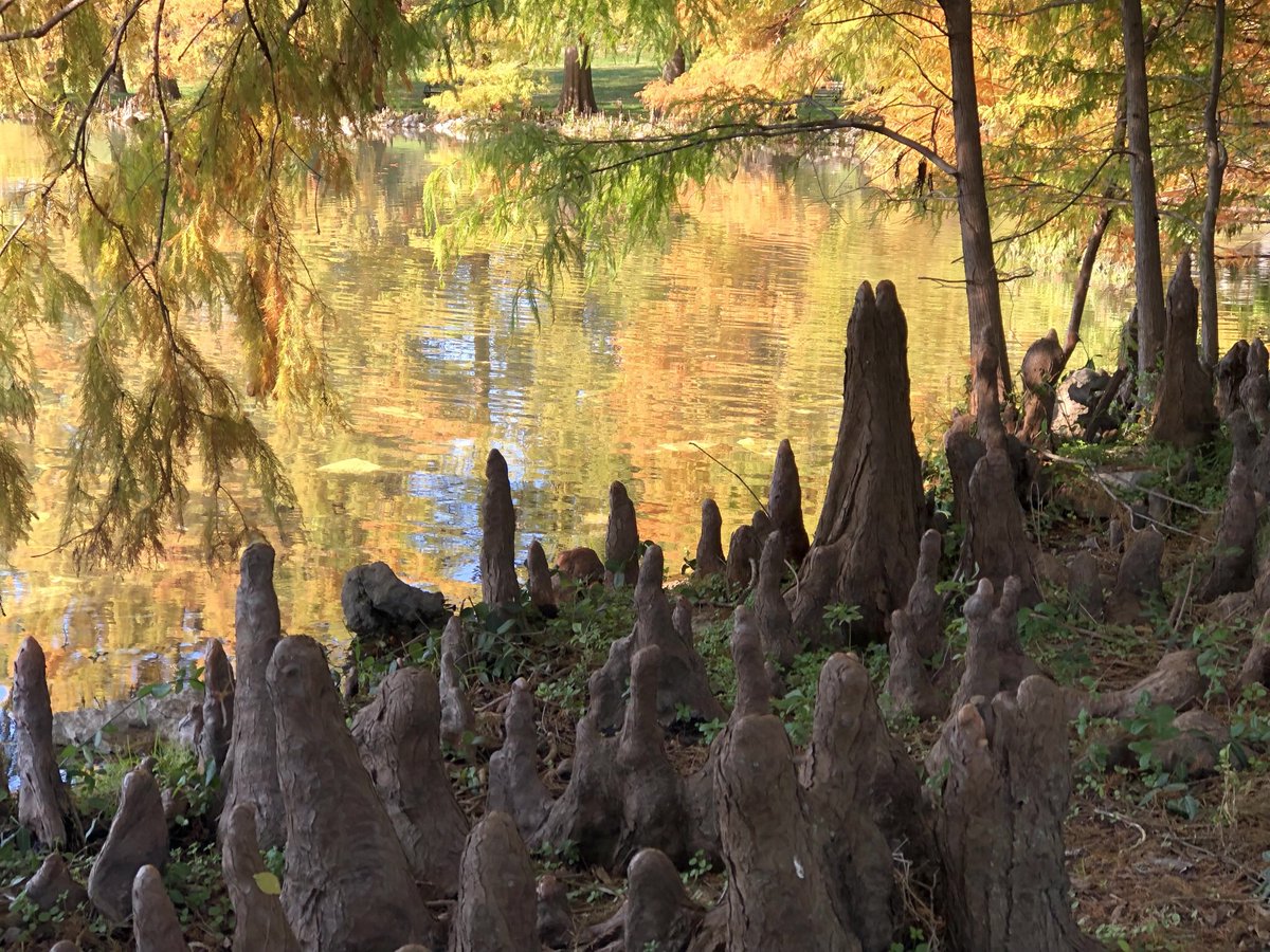 Liz Barack tweet media