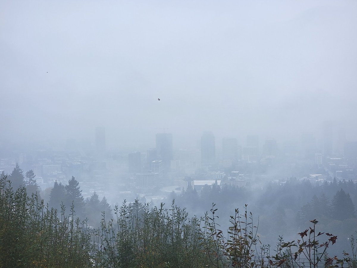 Yasha Duggal, PhD tweet media