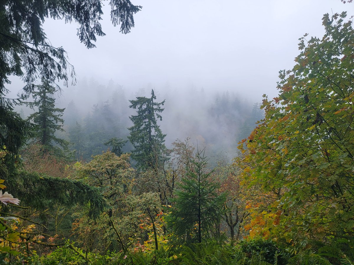 Yasha Duggal, PhD tweet media