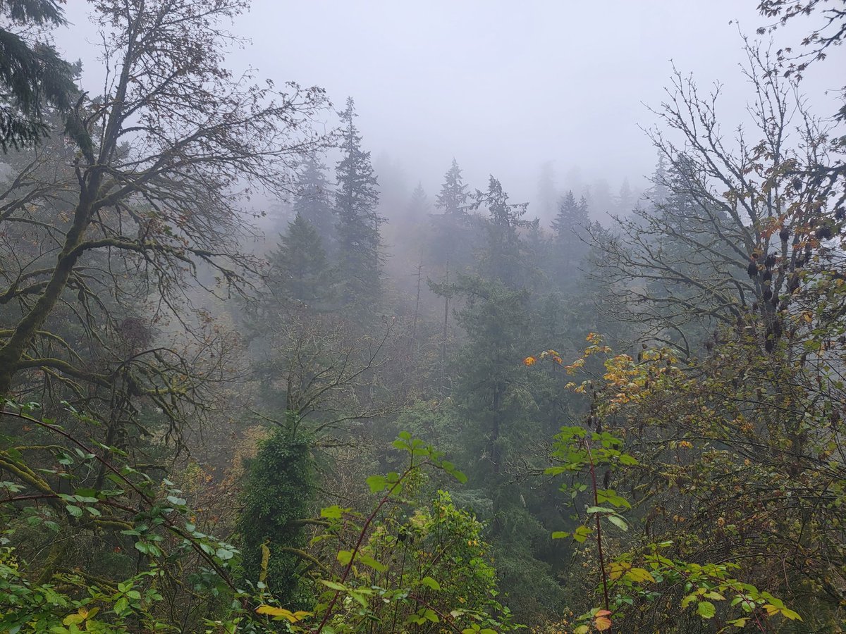 Yasha Duggal, PhD tweet media