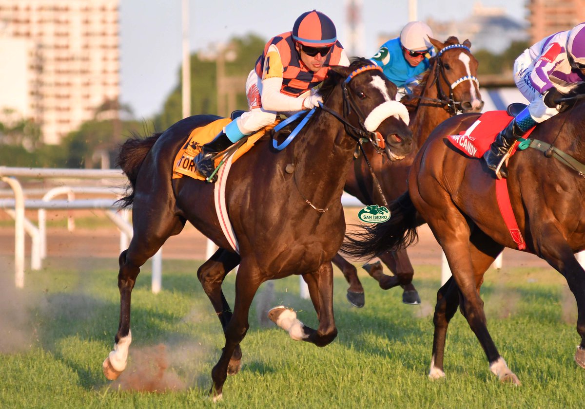 HipodromoSI's tweet photo. ✅ En el @HipodromoSI se disputó el #ClásicoLosHaras (G2 - 2000 metros), donde se impuso #LoveStory (Brz., Agnes Gold), del #StudRDI, entrenada por #CarlosDEtchechoury y dirigida por #AdriánGiannetti. https://t.co/iTgxyZDUX2