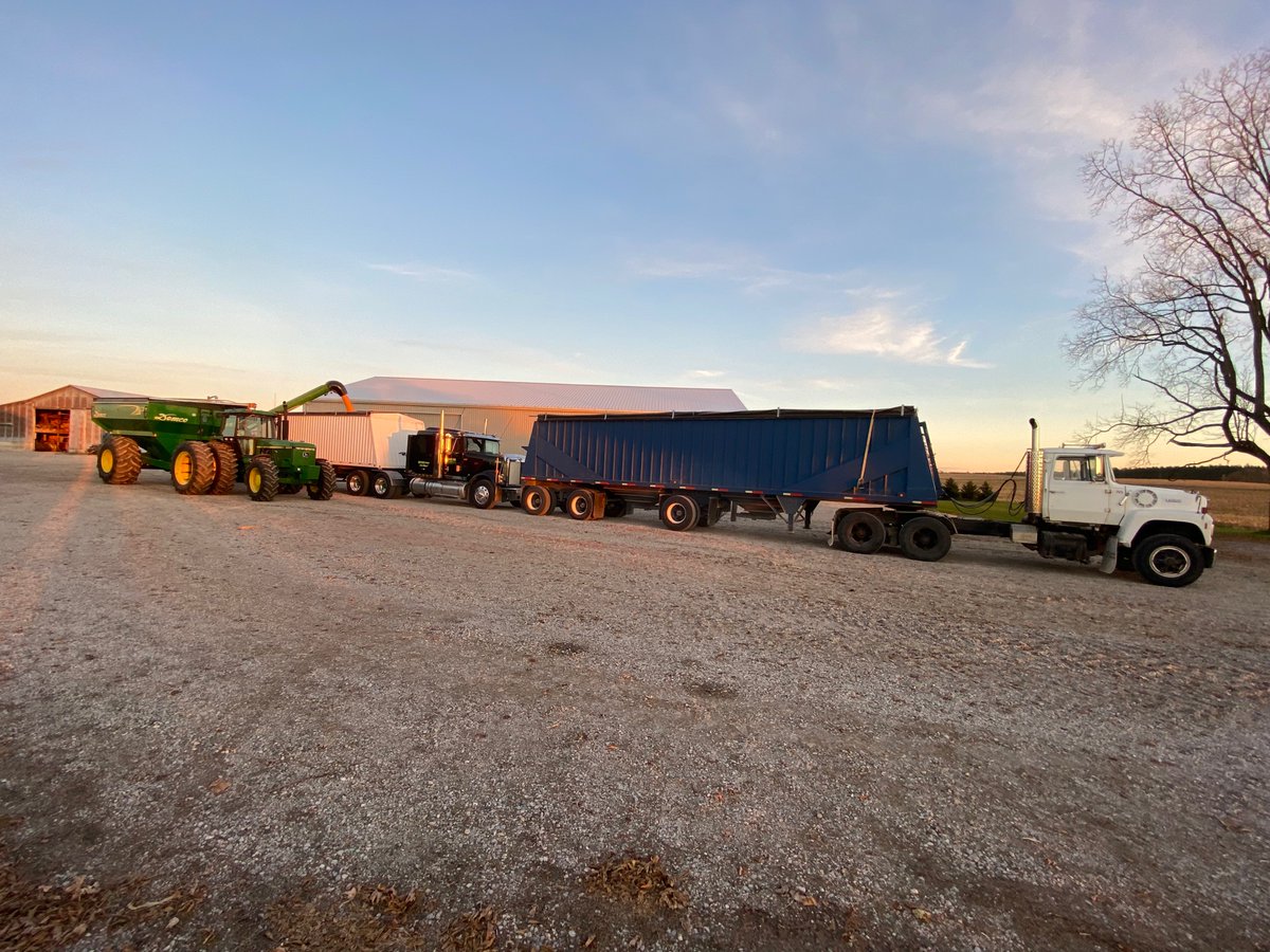 Another beautiful day for corn harvest. 😃