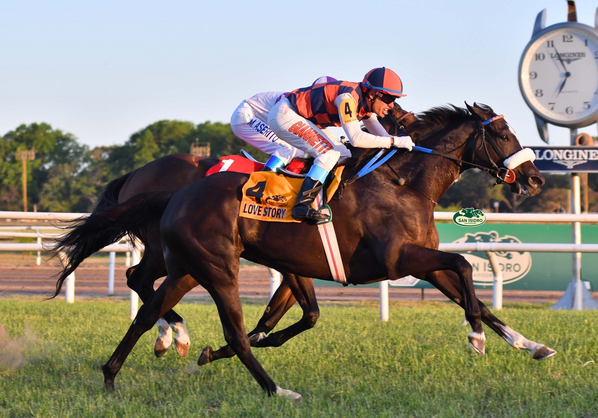 HipodromoSI's tweet photo. ✅ En el @HipodromoSI se disputó el #ClásicoLosHaras (G2 - 2000 metros), donde se impuso #LoveStory (Brz., Agnes Gold), del #StudRDI, entrenada por #CarlosDEtchechoury y dirigida por #AdriánGiannetti. https://t.co/iTgxyZDUX2