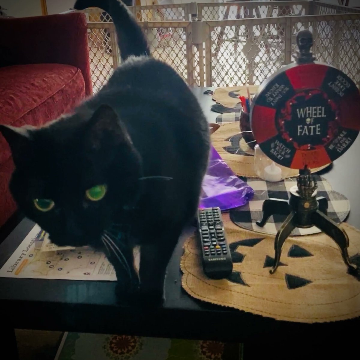 Uglycat24's tweet photo. The Wheel of Fate comes for us all—except, perhaps, its green-eyed master.

A happy pre-Halloween #caturday from the Uglycat! https://t.co/3z3jPg5pGs