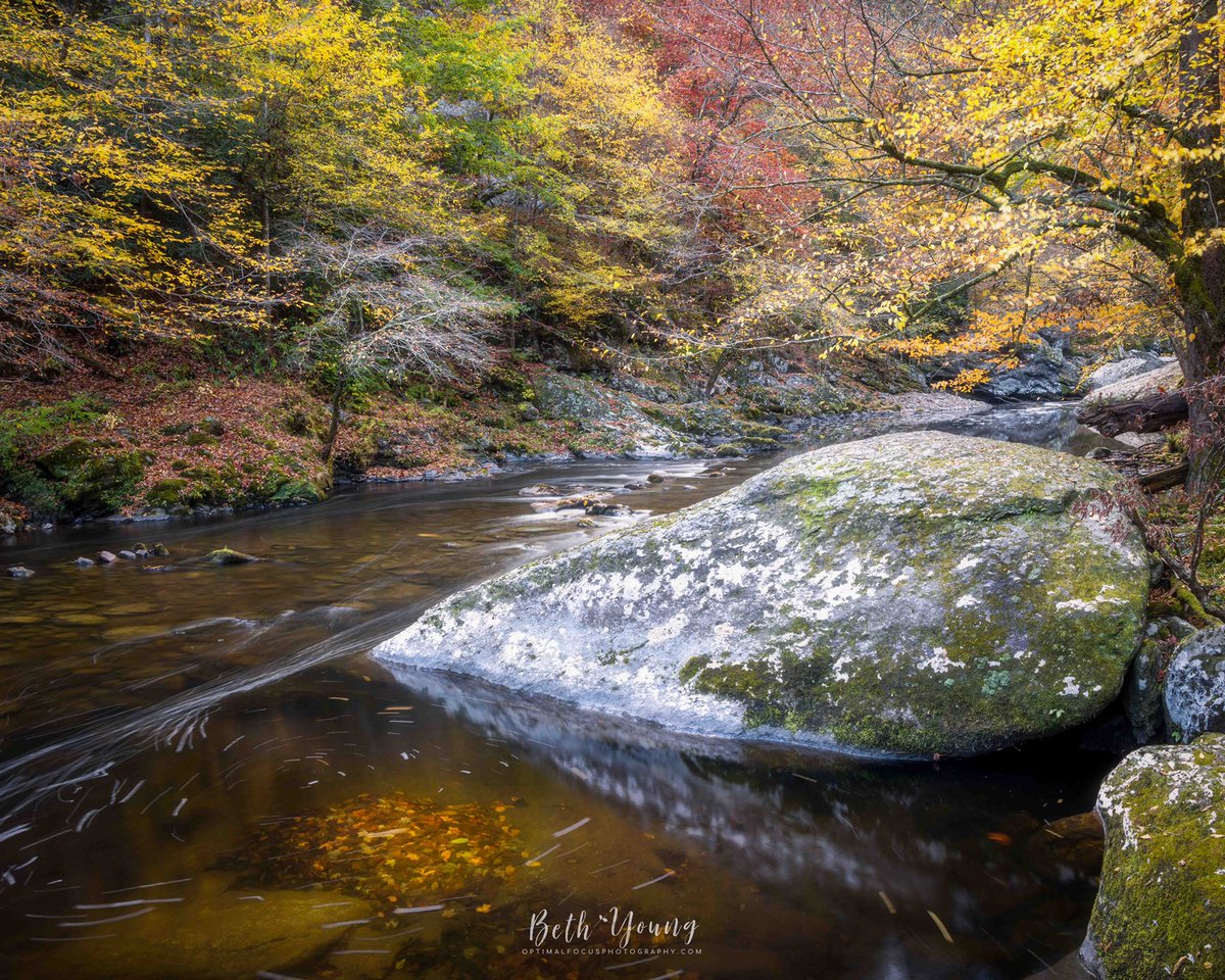 Beth Young tweet media