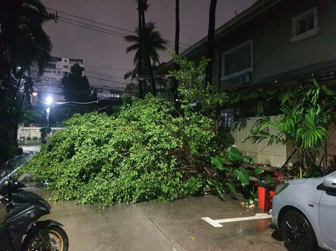 bsapasig's tweet photo. Dahil sa magdamag na paghagupit ni Bagyong #PaengPH, π§οΈ non-stop din ang BSA Search & Rescue Team sa disaster response. π Tuloy-tuloy ang ating BDRRM sa clearing operations at pag-aayos ng loose electrical wires. β
#BidaAngHandaBSA #ClearingOperations #TuloyAngSerbisyoBSA https://t.co/jvjwbzNb2t