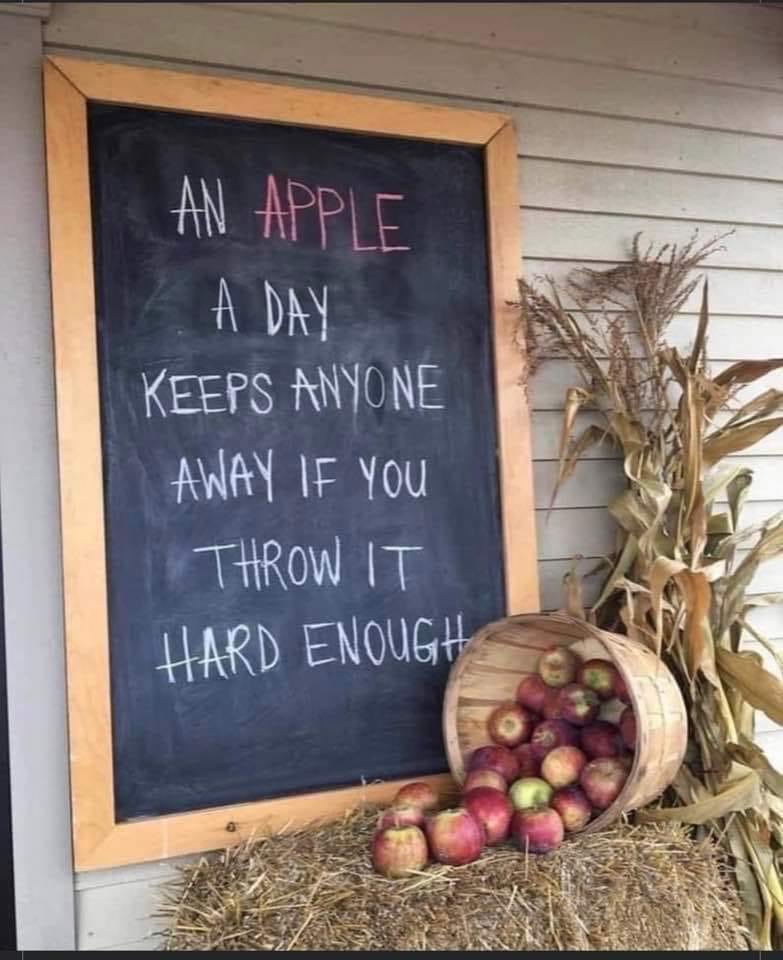 DeplorableVix tweet media