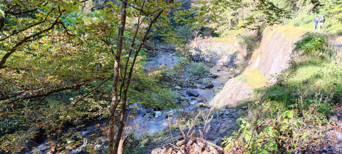 昨日は武甲山へ行きました。
QSO相手局：
マツモトTK304/青　74KM 18CH
0X4-0002XX5  7km　18CH
さいたま1318　15km　18CH
さいたまFL20　25km　18CH
URであ∼る!　53km　18CH
ありがとうございます
#LCR　#デジコミ