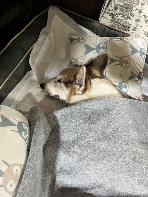 おはようございます。 