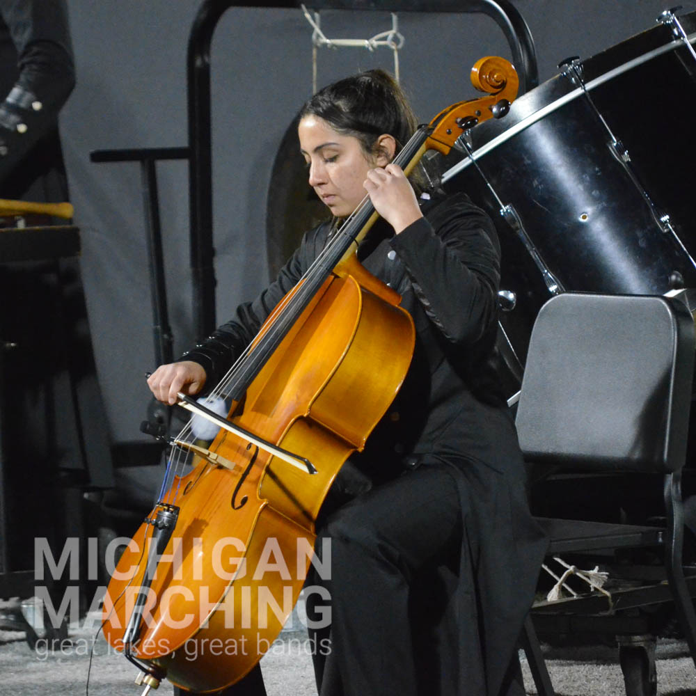 Michigan Marching tweet media