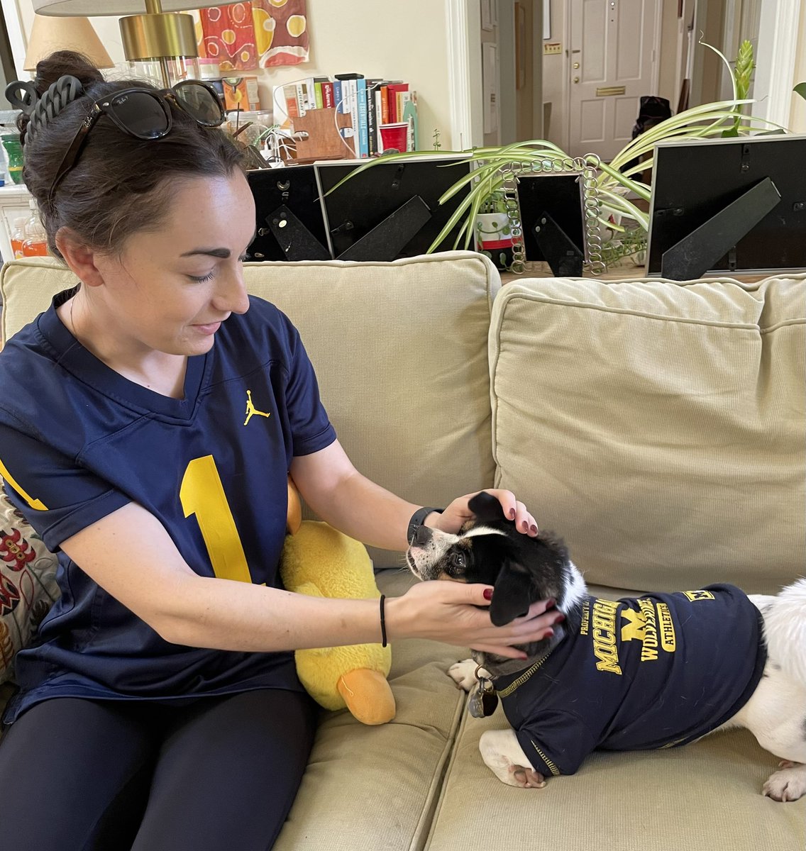juleeeeya's tweet photo. New Michigan fan Barnaby is ready for the game! 💙💛 @UMichPets #GoBlue https://t.co/5NAVeruyyG
