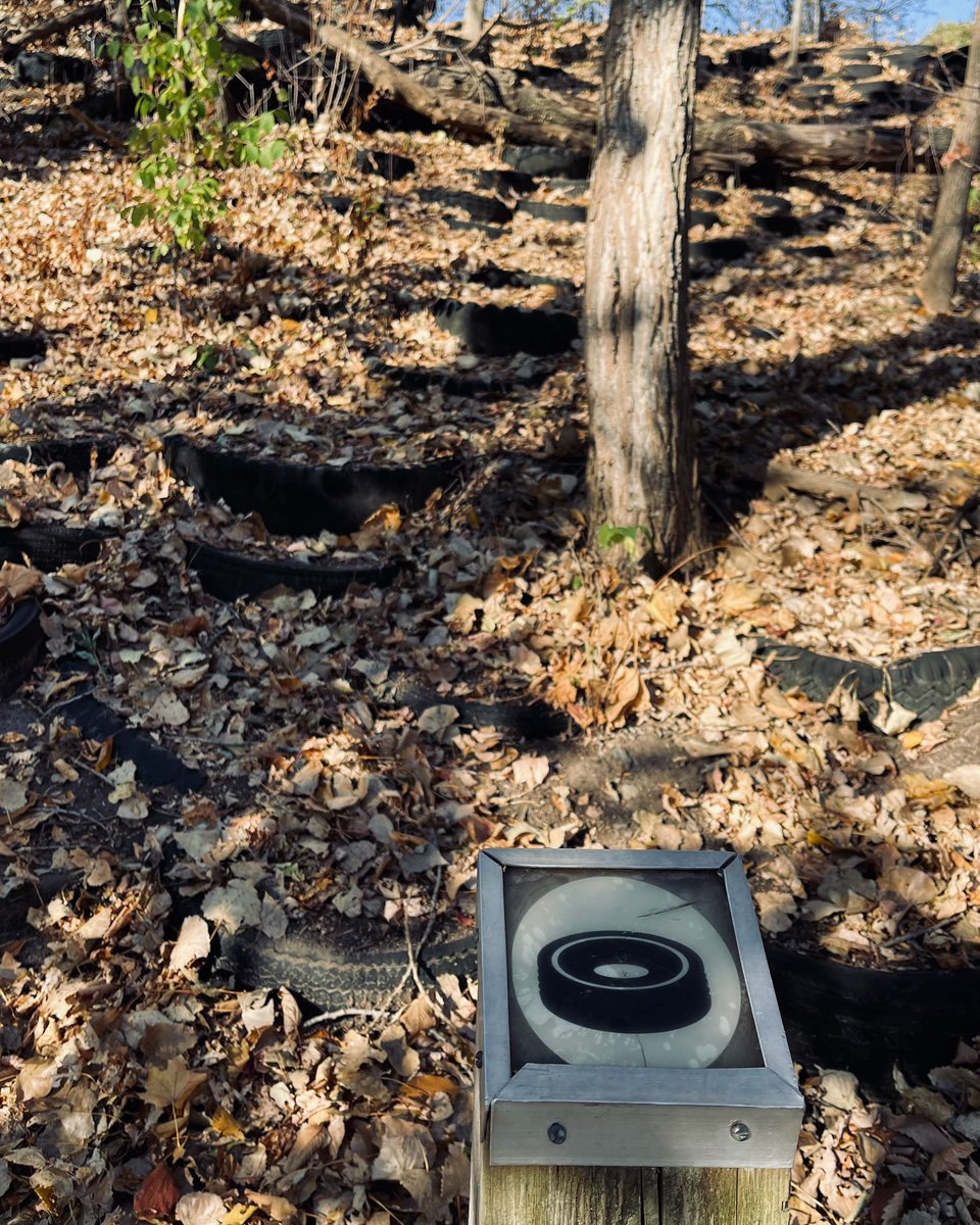 And here we get a rare glimpse of the common tire in its native habitat… #bizarresignage