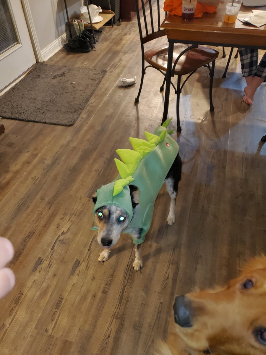 Kara Metzger Tindall tweet media