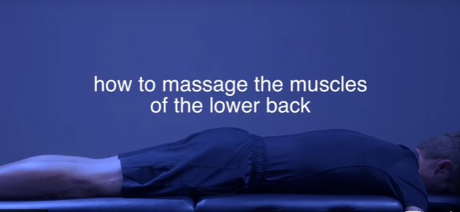 ThumperInc's tweet photo. Can anyone else relate to their lower back hurting after working on a bunch of chores? Check out the following link for a few tips on how to fix that issue! 

https://t.co/Qc74KUDw3q https://t.co/CEnSfqvyzU