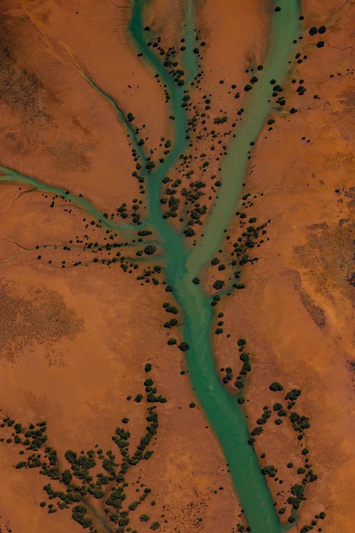 Protect Ningaloo tweet media