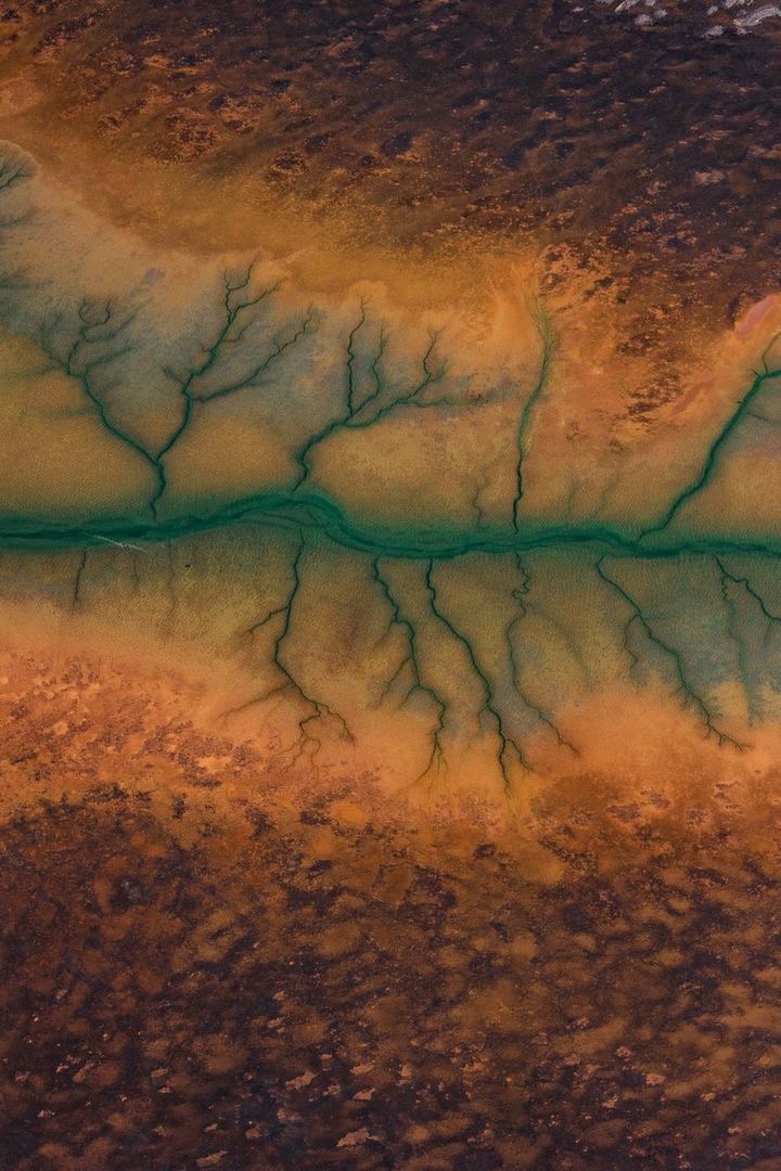 Protect Ningaloo tweet media