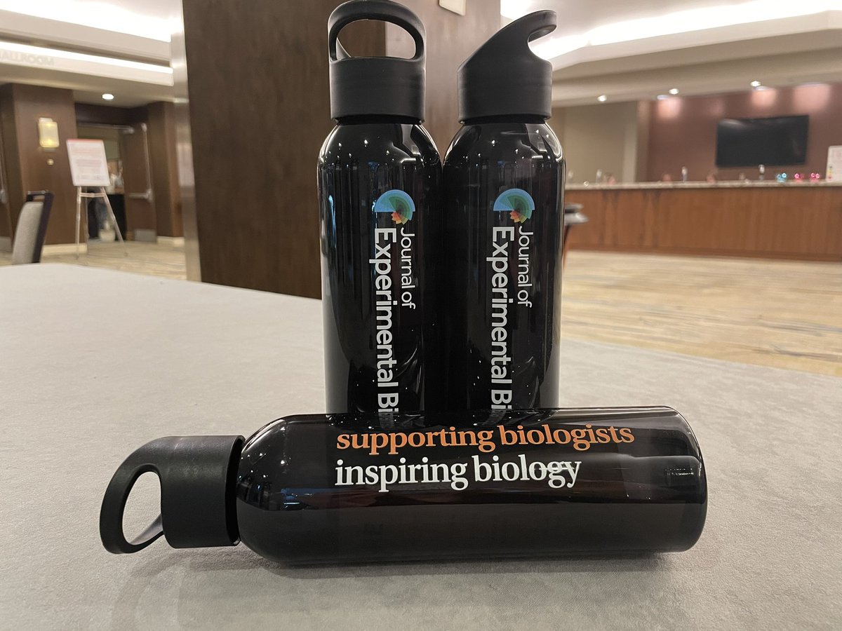 Co_Biologists's tweet image. At #Comparative2022? Come and sign up to one of our newsletters and receive a free @J_Exp_Biol water bottle.