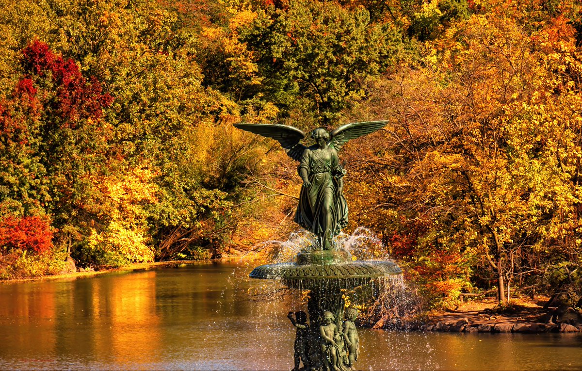 isardasorensen's tweet photo. Beautiful #autumn colors in #NYC’s Central Park now. #NewYork #NewYorkCity #fallcolors #fallfoliage https://t.co/1NvBLnBAmH