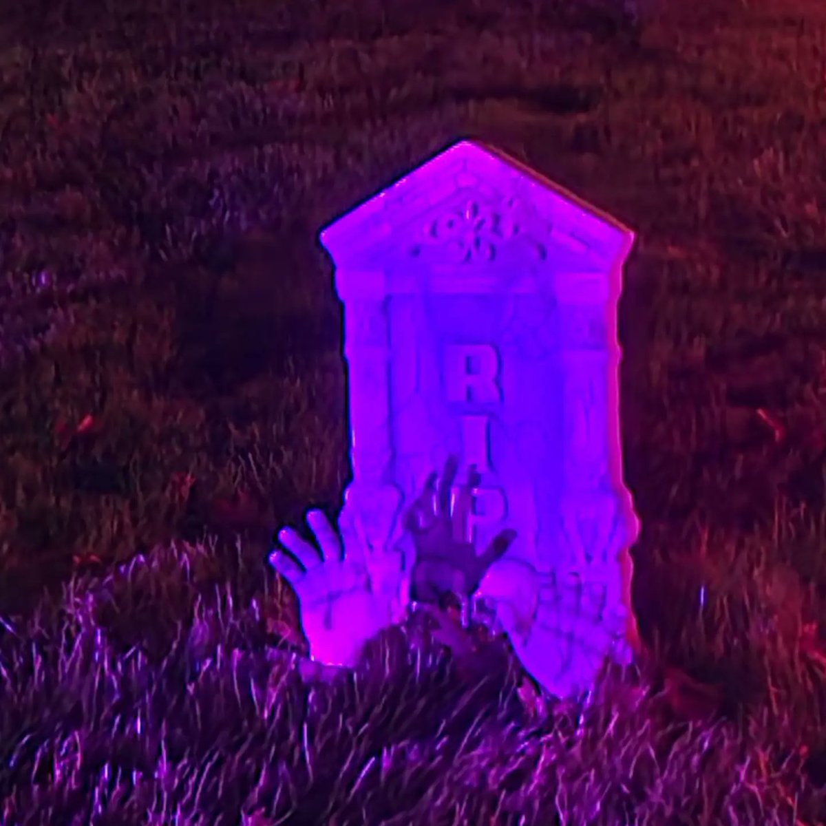 Rich Copp tweet media