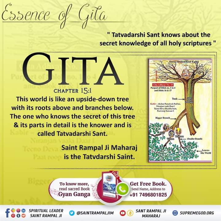 Rd01Rajendra's tweet photo. #SantRampalJiMaharaj 
☘💐🪴☘🌼🍀🌺🪴💐☘🌼🍀
Bhagavad Gita 15:1
This world is like an upside-down tree with its roots above and branches below. The one who knows the secret of this tree &amp; its parts in detail is the knower and is called Tatvadarshi Sant.
👇📺📺
Sant Rampal Ji https://t.co/MdeejWscSj