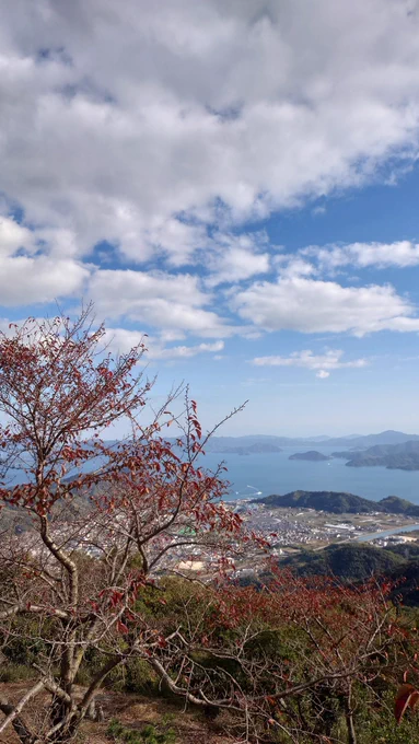 on朝日山 