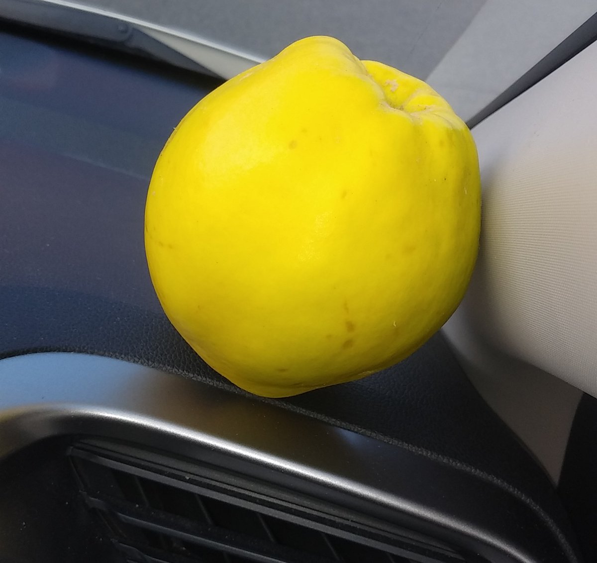 自然の芳香剤🥭
ｶﾘﾝ
車内に広がる香りは、しばらく楽しめそうです。