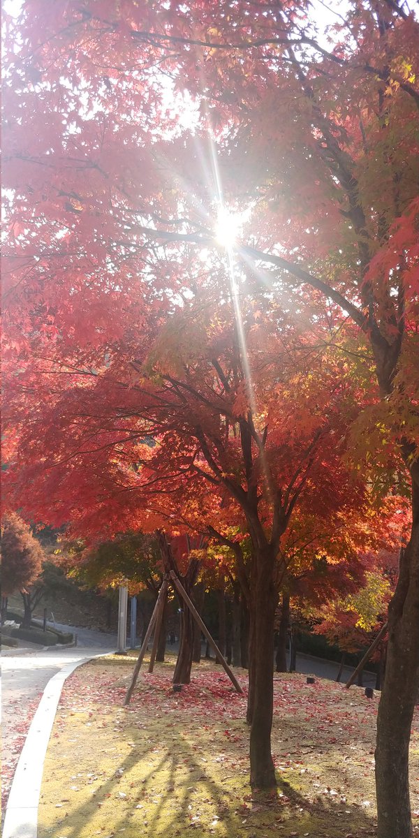좋은 사람이랑 공원에서 수다떨기에
딱 좋은 너무나 행복한 계절..
