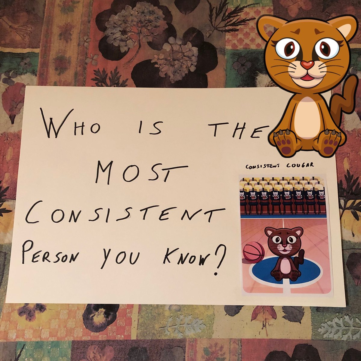 KOWSKY_'s tweet photo. @matteo_chier @veefriends @veeminders @garyvee @wanabishi @aidantag @AndawnBernardi @LadyKateBullock @CuriousAddys #ConsistentCougar #VeeMinders https://t.co/tX4NJlLDXp