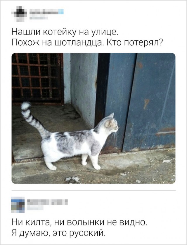 КаркушA... (@karkusharu) on Twitter photo 