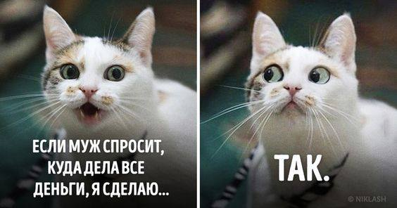 КаркушA... (@karkusharu) on Twitter photo 