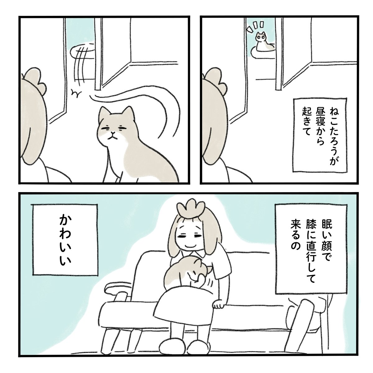 ひざにのるねこ

#猫のいる暮らし #みちこの日記 