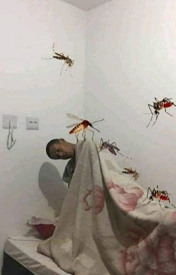 Mi verano de noche