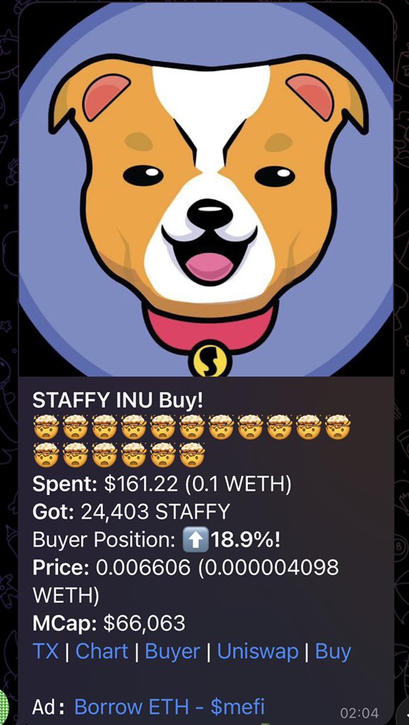 StaffyInu tweet media