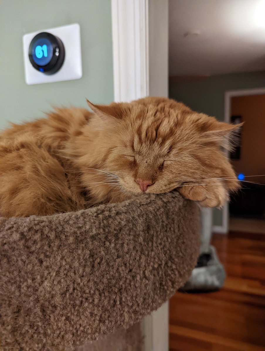 JMundola's tweet photo. @JoJoFromJerz Khalo's a tired boy. https://t.co/8M8lxmGnqv