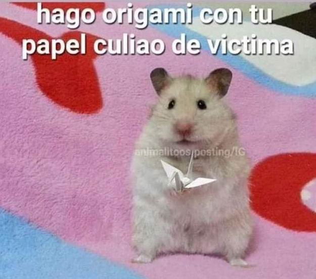 Ciudadneo's tweet photo. @GAMBA_CL mono kl vistima... https://t.co/IHdBkdMrm3