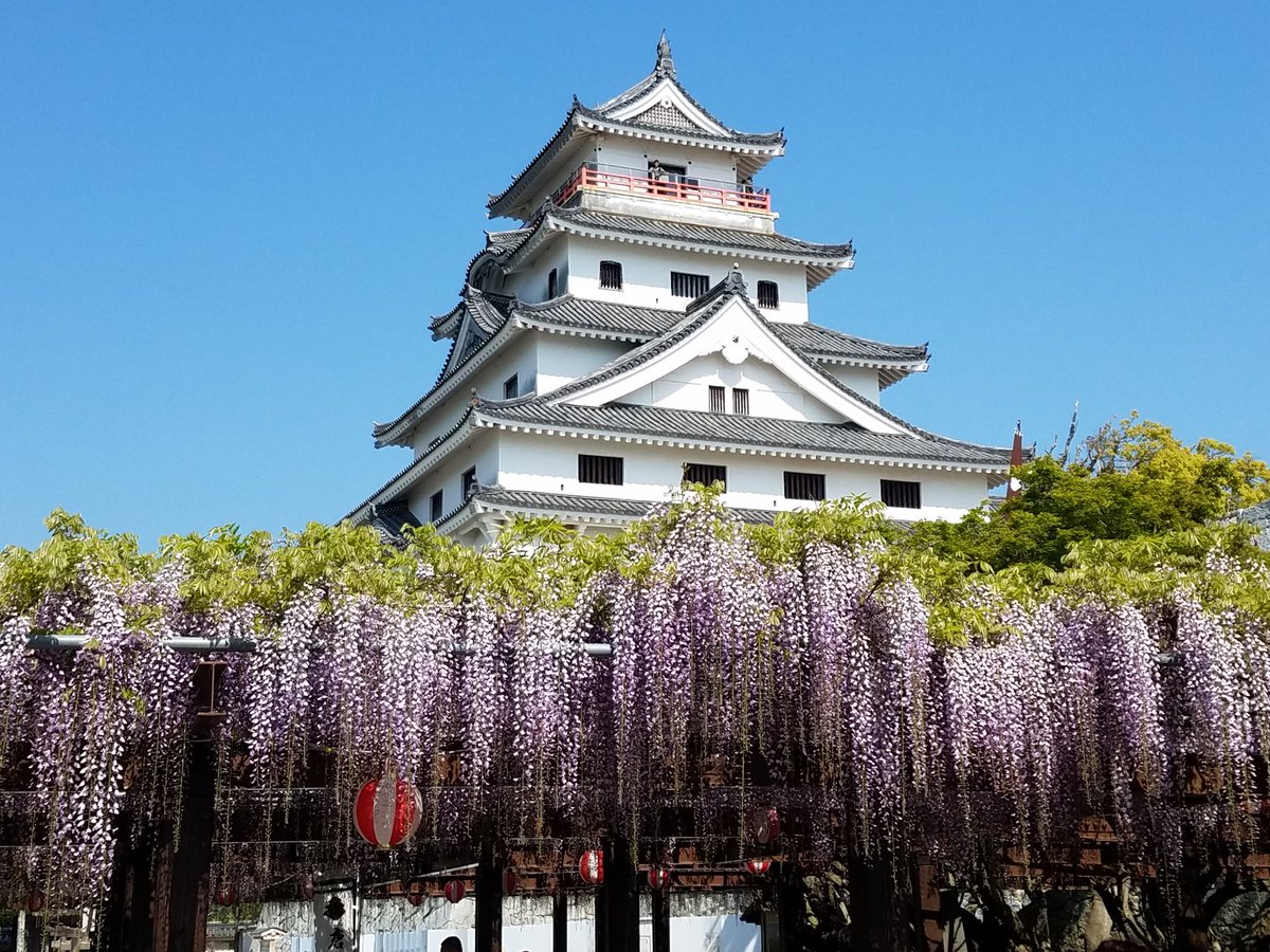 品質一番の ふーみん様特殊s docsautoersc.com